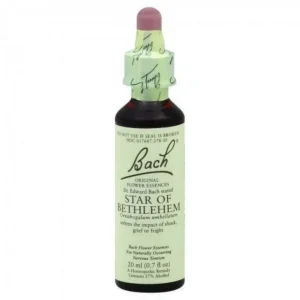 Bach Original Flower Remedies Sweet Chestnut for Optimism 20mL Dropper