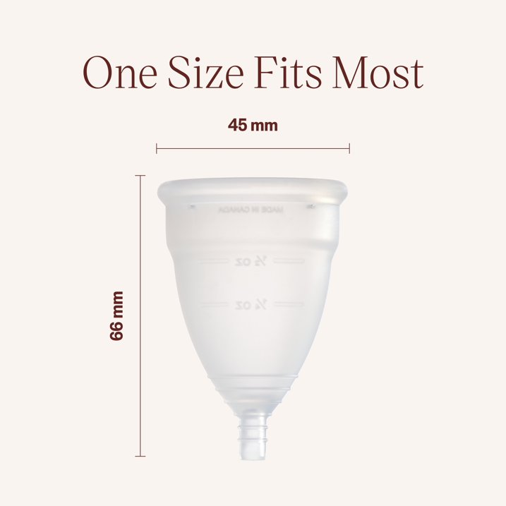 DivaCup Model 2 Reusable Menstrual Cup 1 ct 4 DivaCup Model 2 Reusable Menstrual Cup 1 ct - Image 4