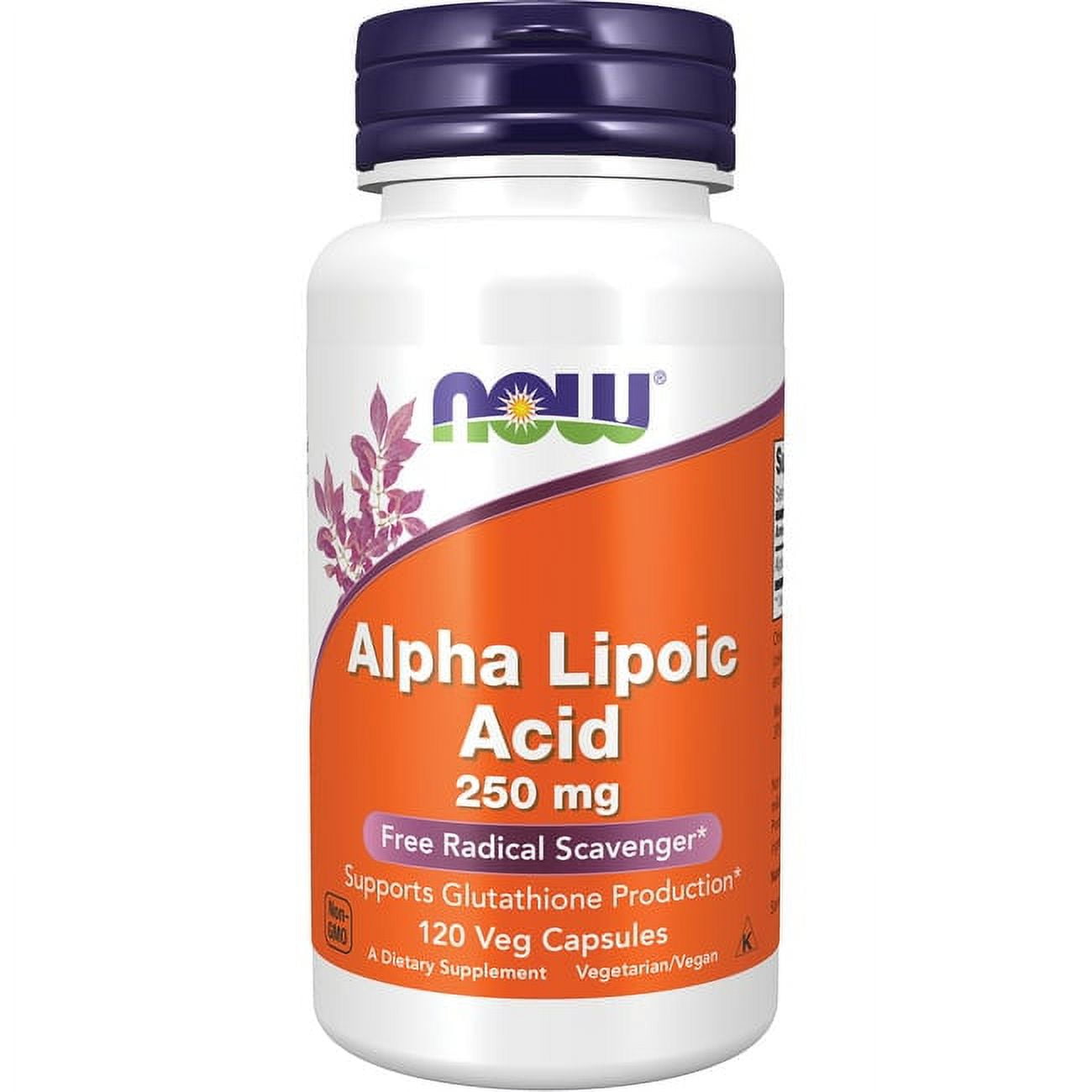 NOW Alpha Lipoic Acid 250Mg 120 Cap 1 NOW Alpha Lipoic Acid 250Mg 120 Cap